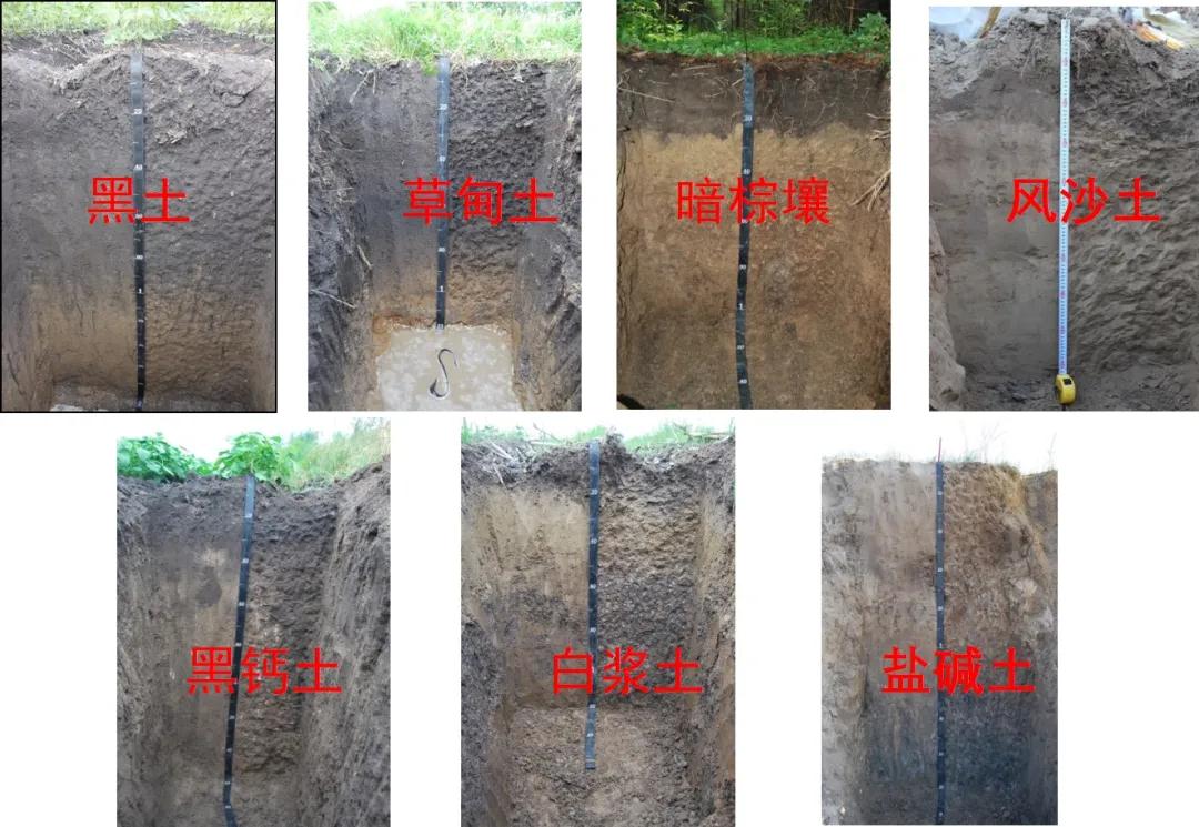 1610351246368674.jpg 3.jpg